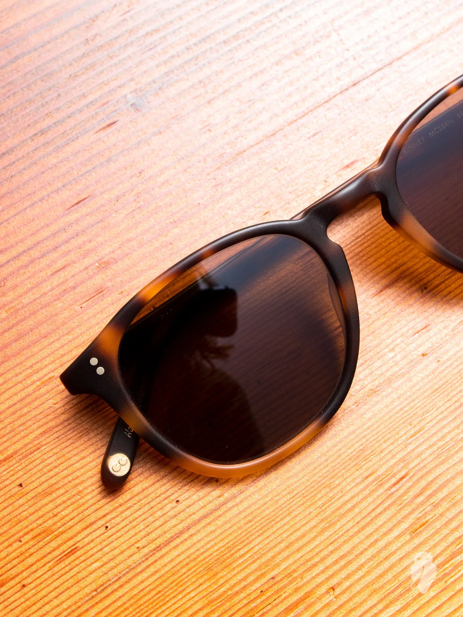 "Kinney" Sunglasses in Matte Brown